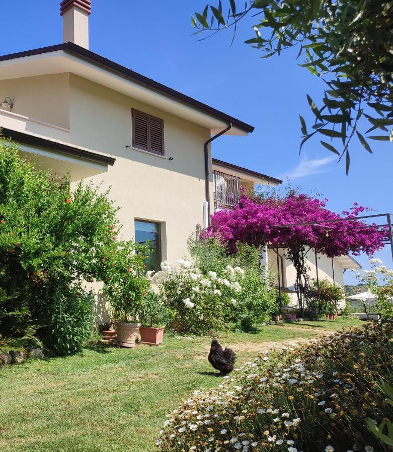 La Casa Di Stefania Apartment Pollutri ภายนอก รูปภาพ