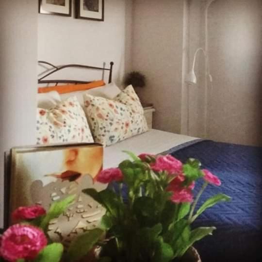 La Casa Di Stefania Apartment Pollutri ภายนอก รูปภาพ